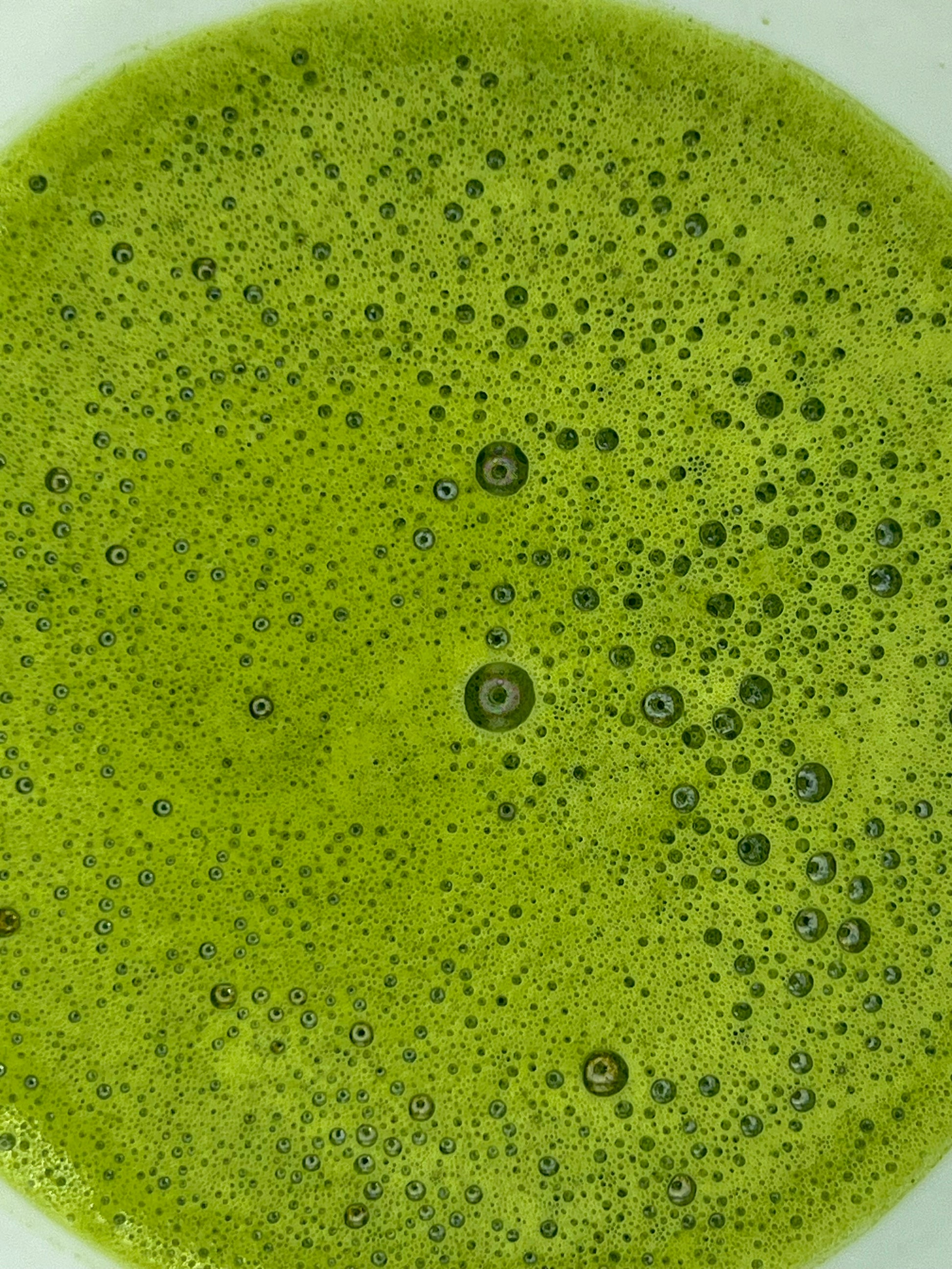 Ujicha Matcha