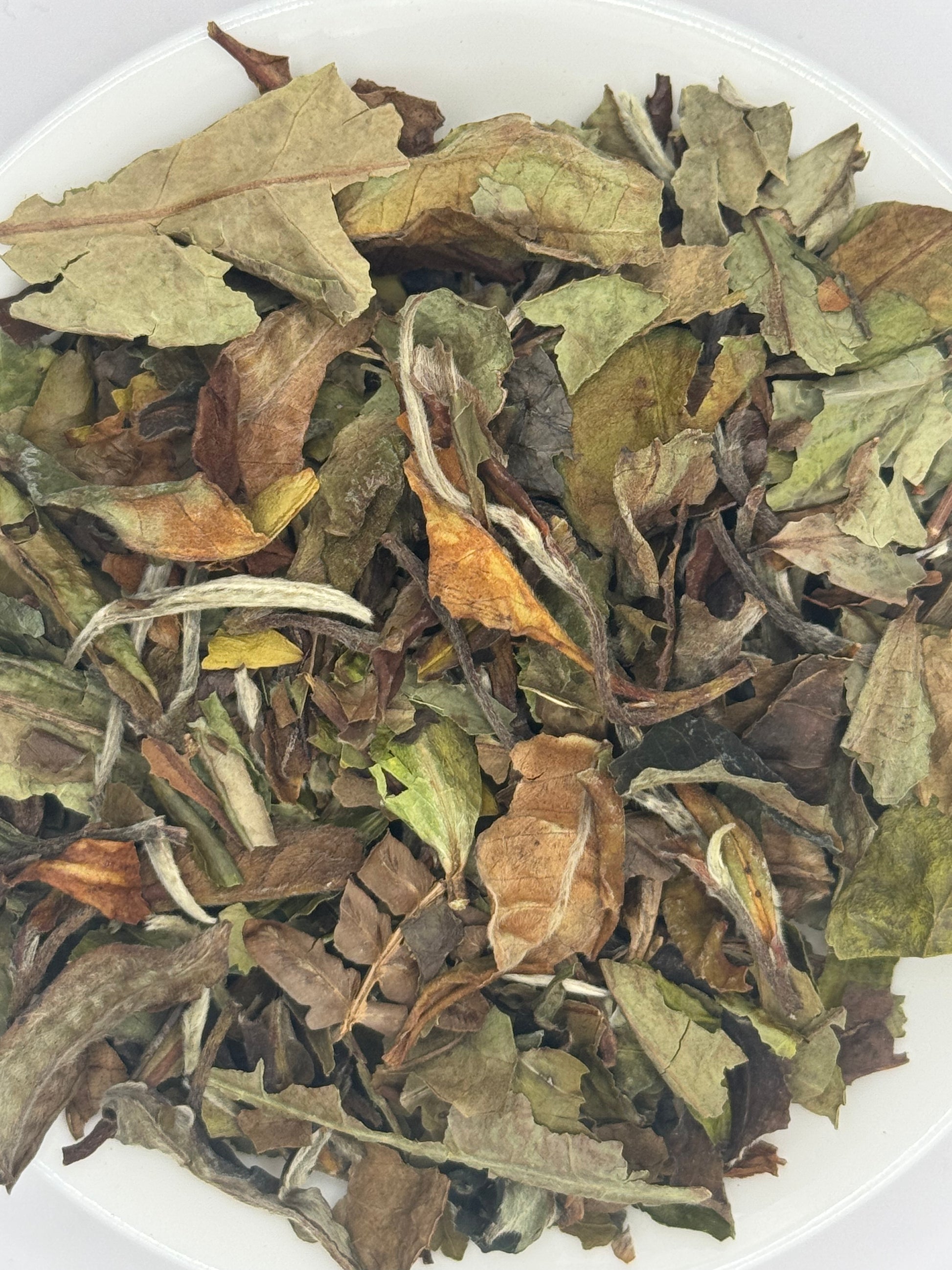 Pai Mu Tan Fehér Tea